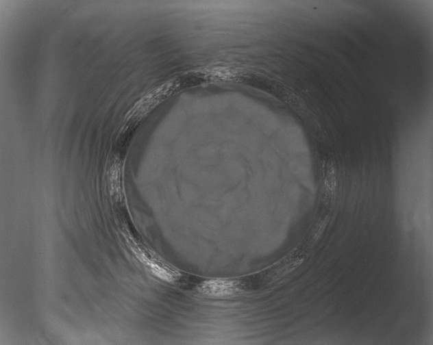 X0000085080526200703261301