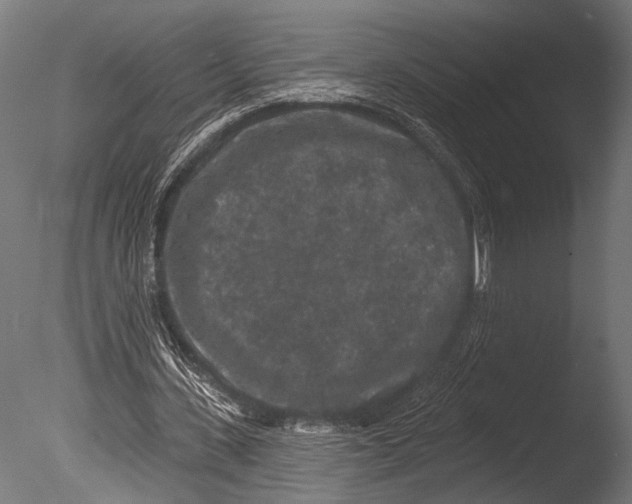 X0000085080531200703261300