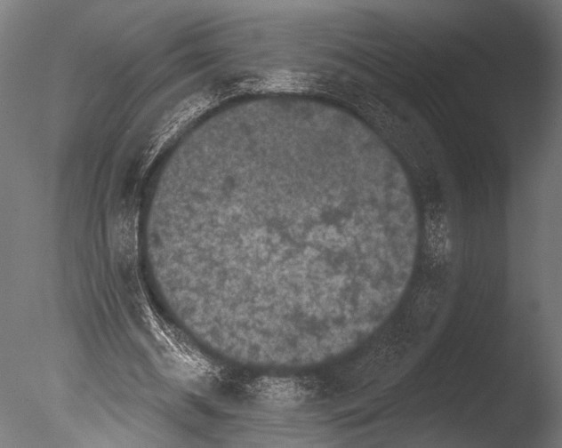 X0000085080534200703261300