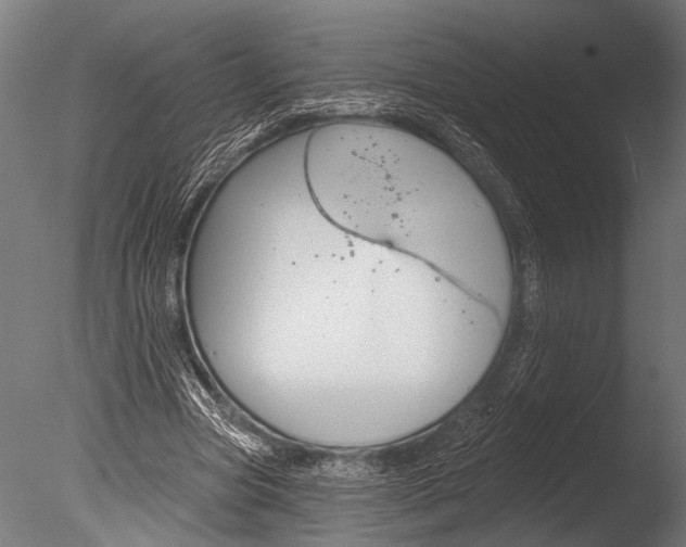 X0000085080537200703261301