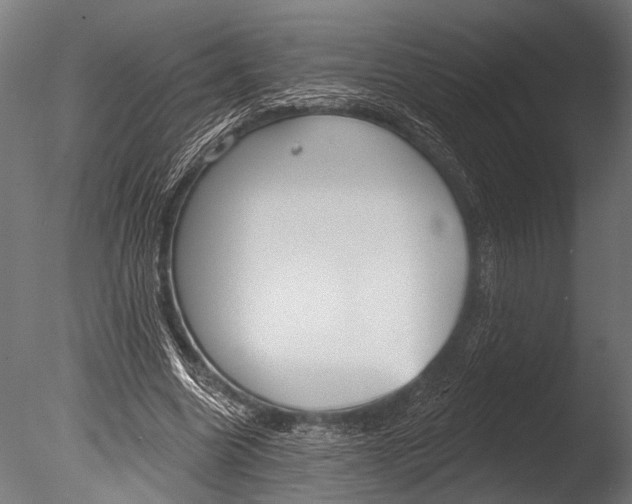 X0000085080538200703261301