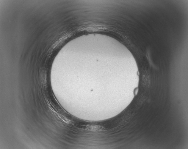 X0000085080539200703261301