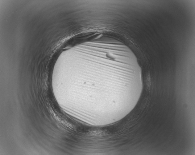 X0000085080540200703261301