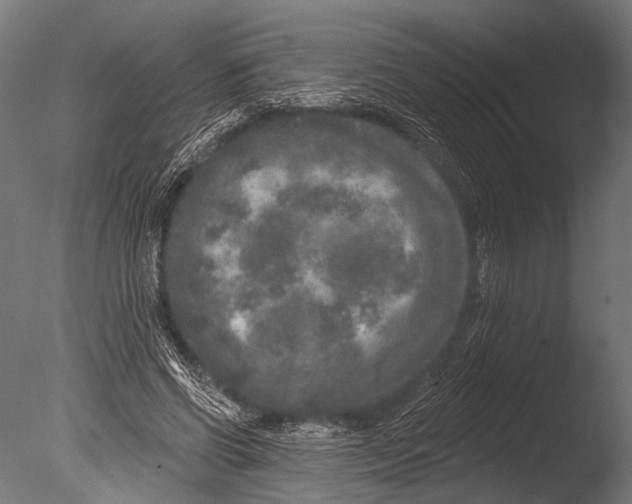 X0000085080542200703261301