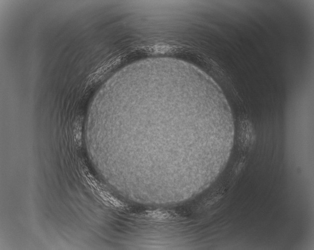 X0000085080545200703261301