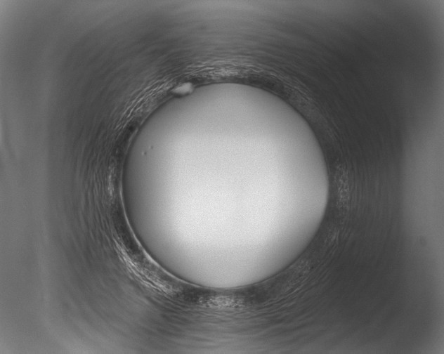 X0000085080546200703261301