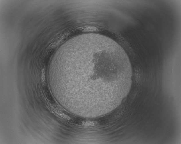 X0000085080549200703261301