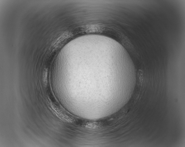 X0000085080550200703261301