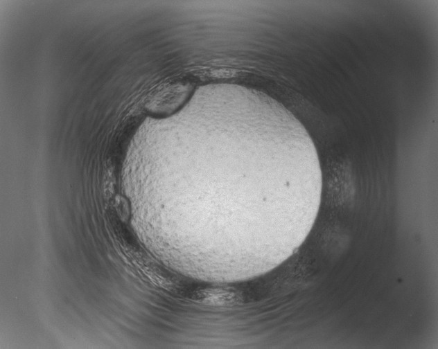 X0000085080555200703261301