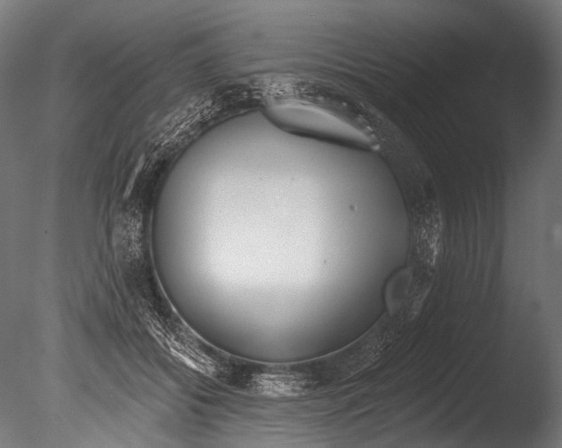 X0000085080556200703261301