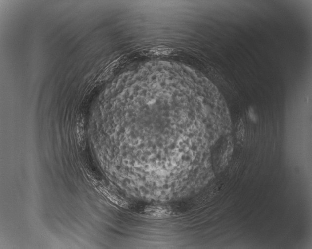 X0000085080559200703261301