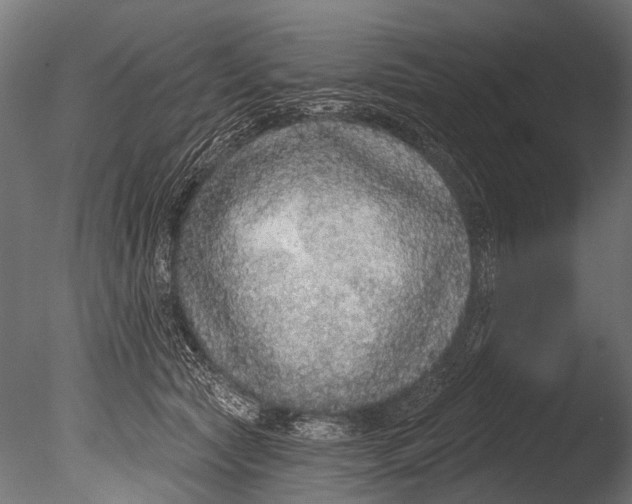 X0000085080561200703261301