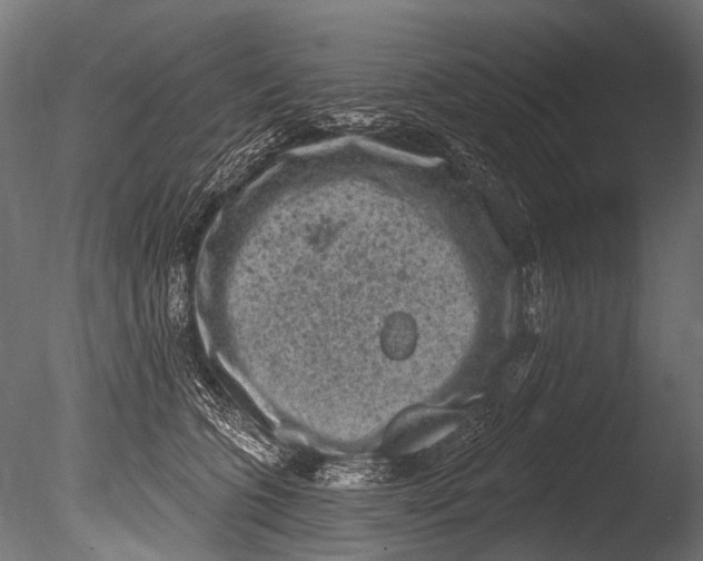 X0000085080563200703261301