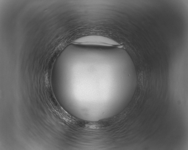 X0000085080564200703261301