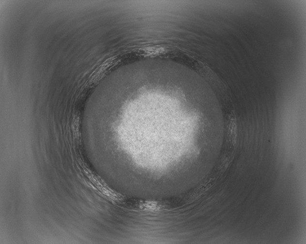 X0000085080565200703261301