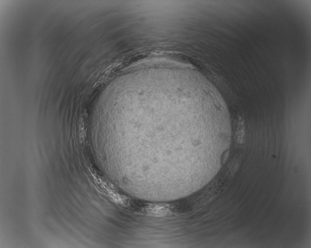 X0000085080569200703261301