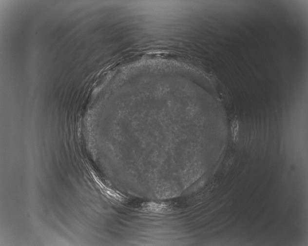 X0000085080570200703261301