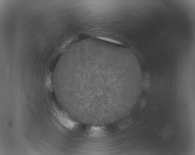 X0000085080573200703261301