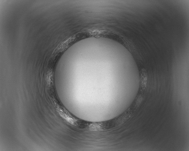 X0000085080574200703261301