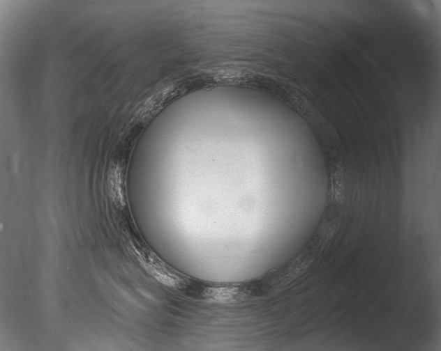 X0000085080575200703261301