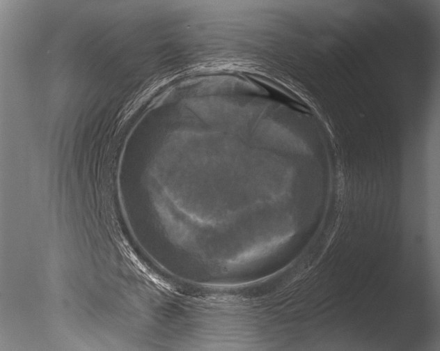 X0000085080577200703261300