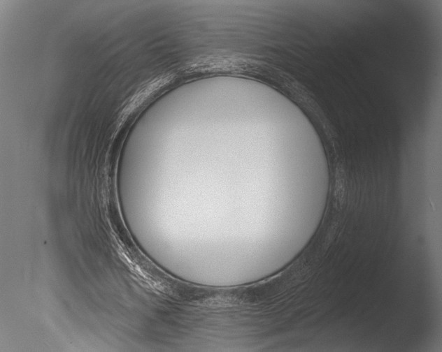 X0000085080578200703261300