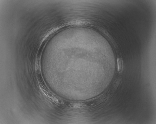 X0000085080579200703261300