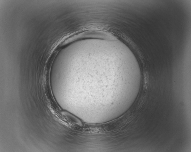 X0000085080580200703261300