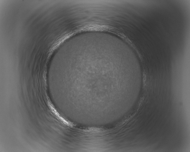 X0000085080581200703261300