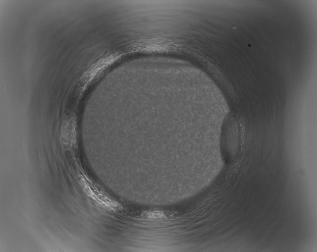 X0000085080588200703261300