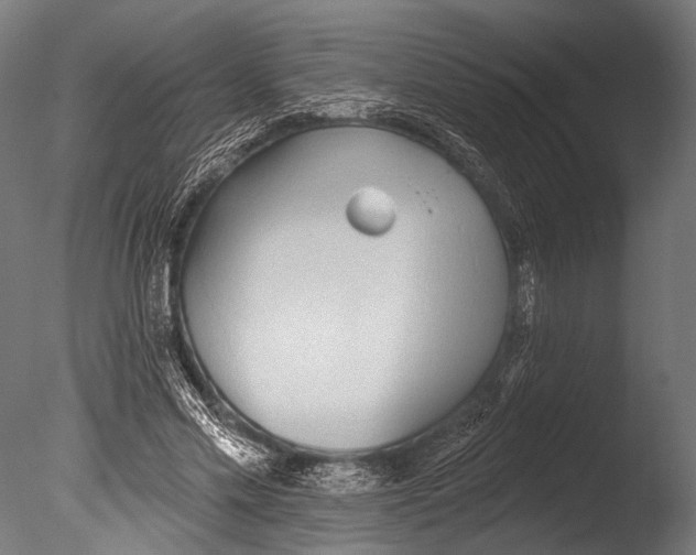 X0000085080589200703261300