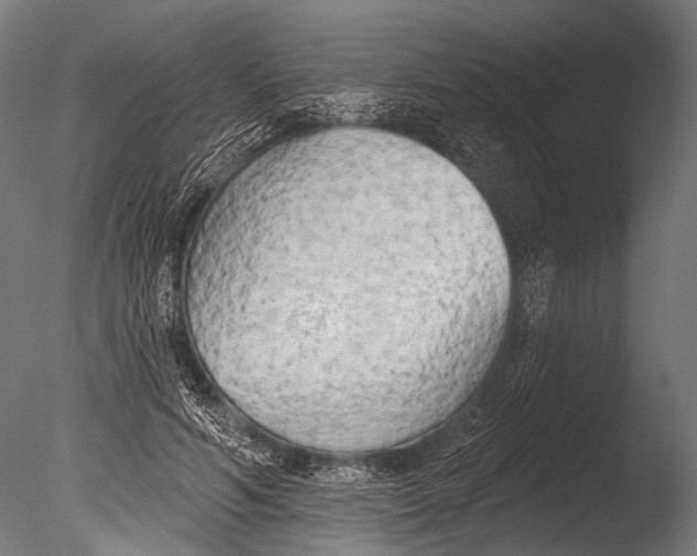 X0000085080594200703261300