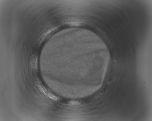 X0000085080596200703261300