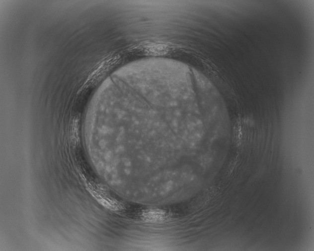 X0000085080598200703261300