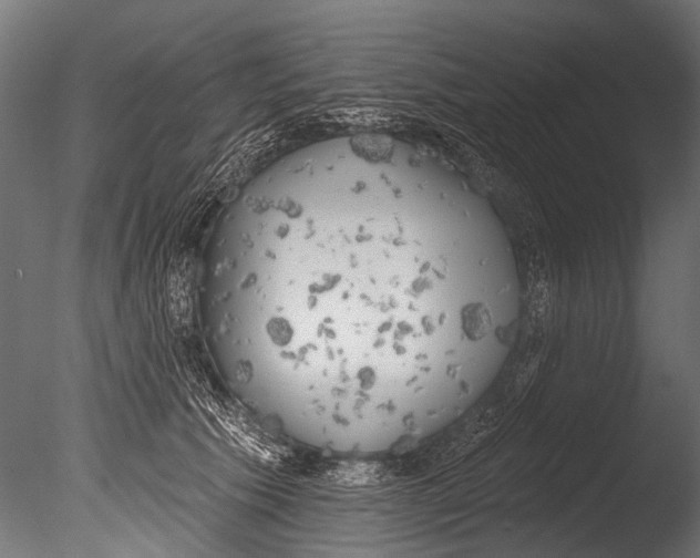 X0000085080609200703261300