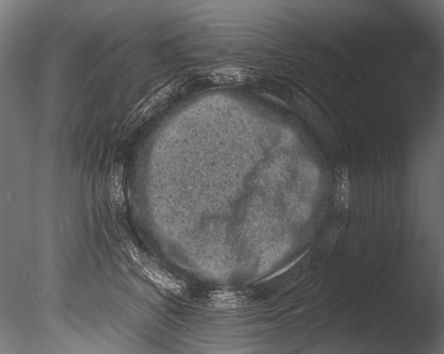 X0000085080616200703261300