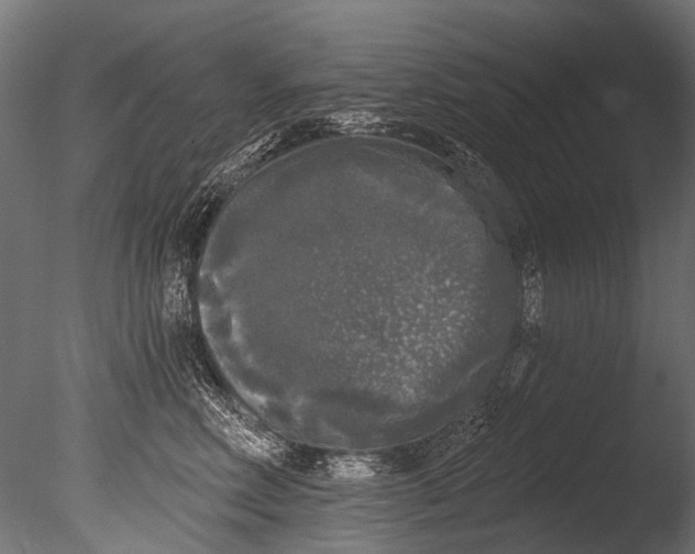 X0000085080618200703261300