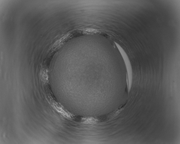 X0000085080621200703261300