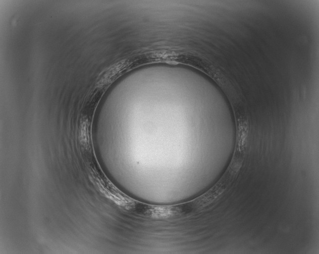 X0000085080623200703261300