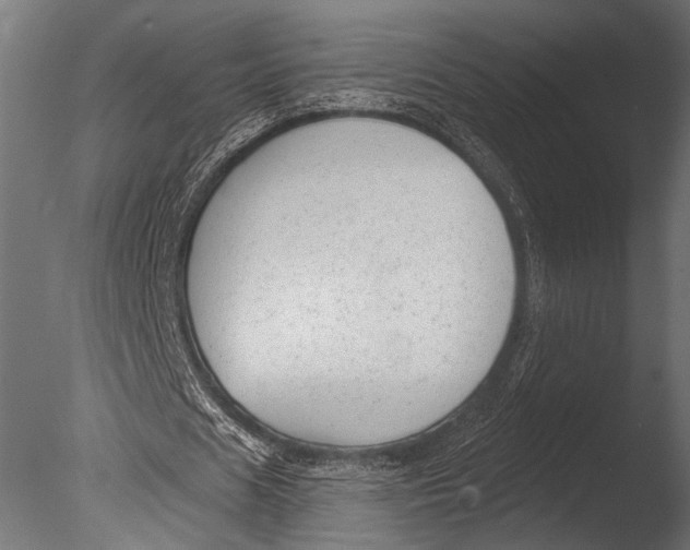 X0000085080625200703261259