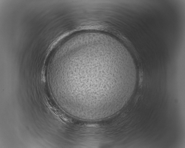 X0000085080628200703261259