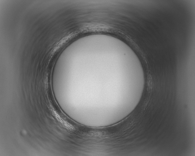 X0000085080629200703261259