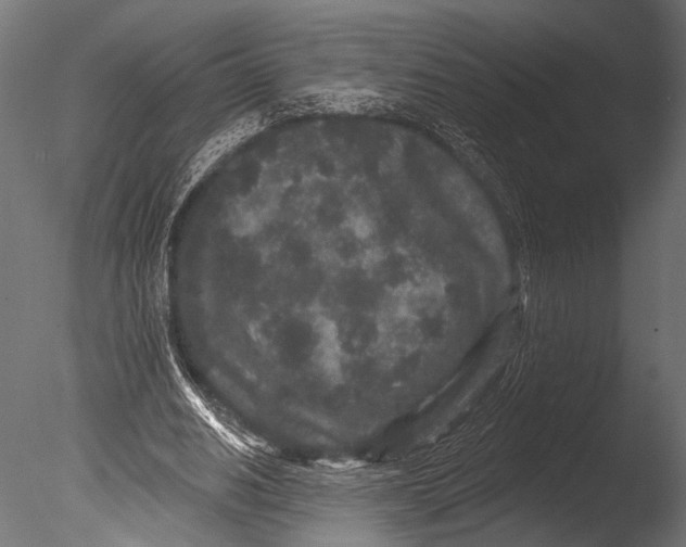 X0000085080630200703261259