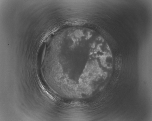 X0000085080634200703261259