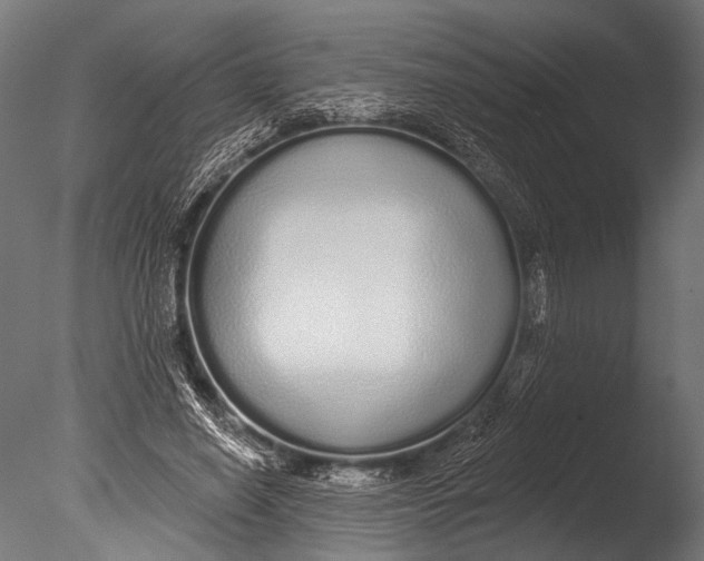 X0000085080638200703261259