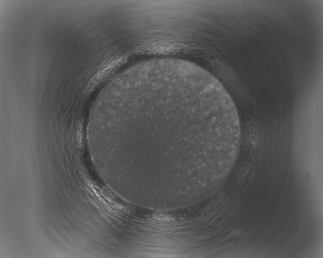 X0000085080640200703261259