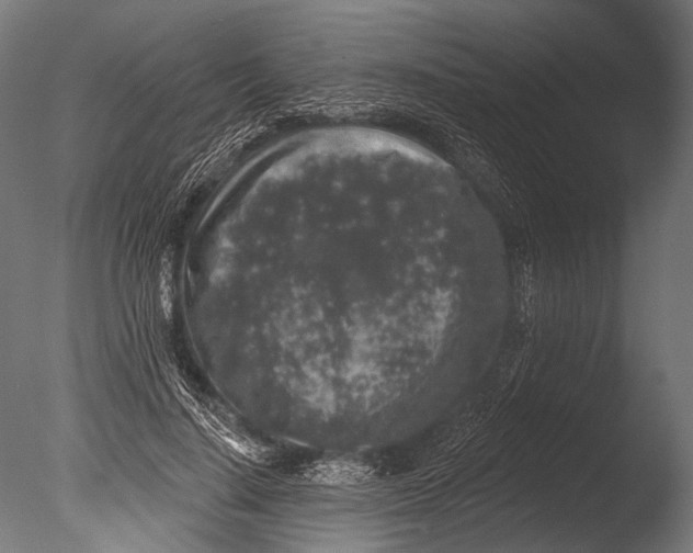 X0000085080644200703261259