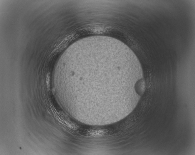 X0000085080646200703261259