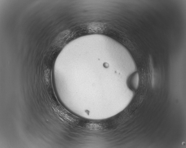 X0000085080649200703261259