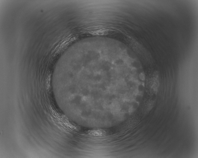 X0000085080652200703261259